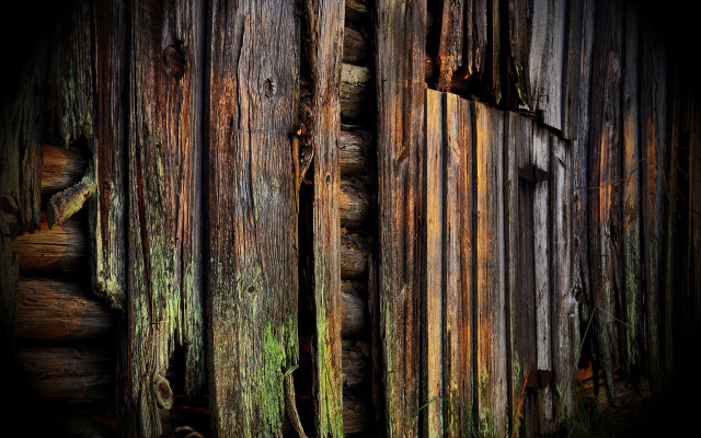 Wooden wall moss growing door free wallpaper - medium preview image
