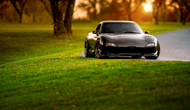 Car driving road grass trees free wallpaper - medium preview image