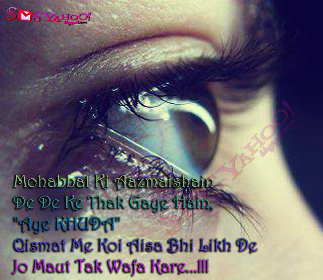 Close up eye quote image free wallpaper - medium preview image