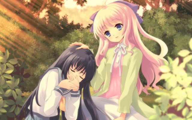 Anime girls sitting grass together free wallpaper - medium preview image
