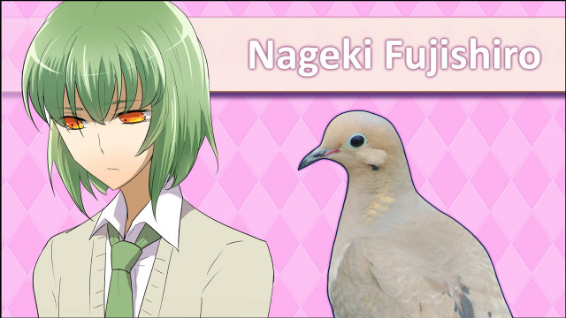 White bird green hair pink free wallpaper - medium preview image