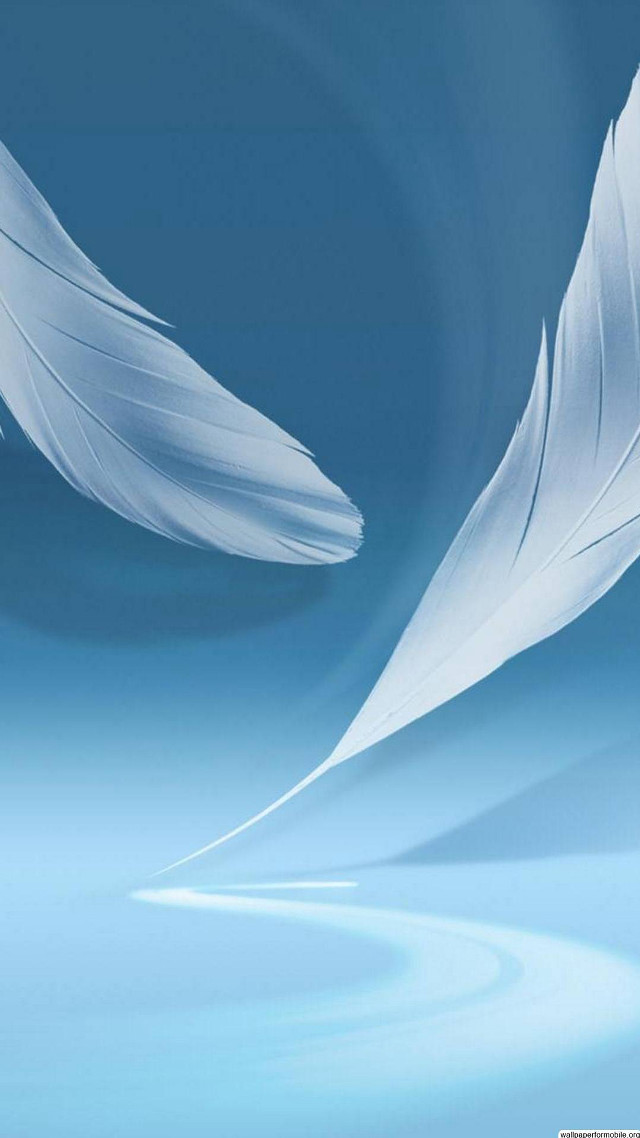 White feather blue background sky free wallpaper - medium preview image