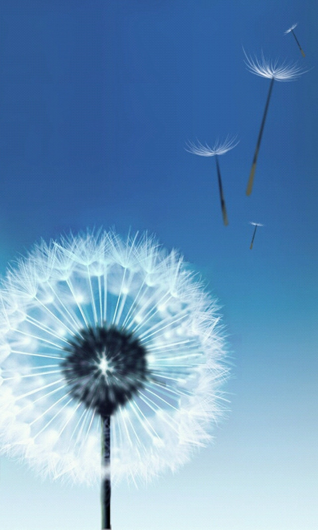 Dandelion flying seeds blue sky free wallpaper - medium preview image