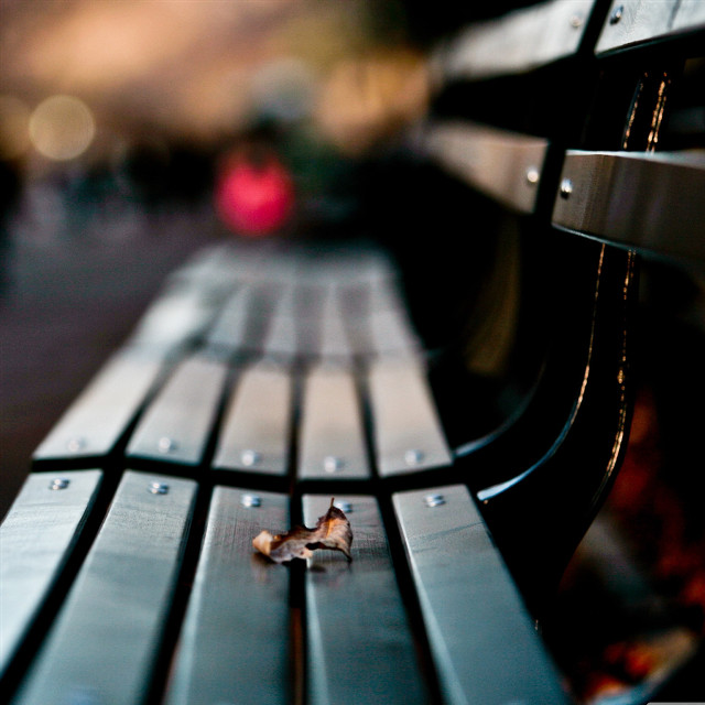 Bench wood closeup blurry background free wallpaper - medium preview image
