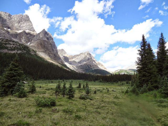 Grassy field trees mountains blue #2 free wallpaper - medium preview image