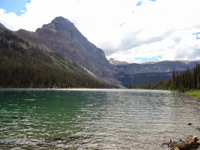 Mountain lake trees forest cloudy free wallpaper - medium preview image