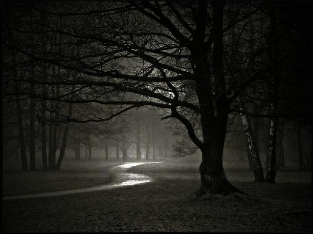 Dark forest path light end #2 free wallpaper - medium preview image