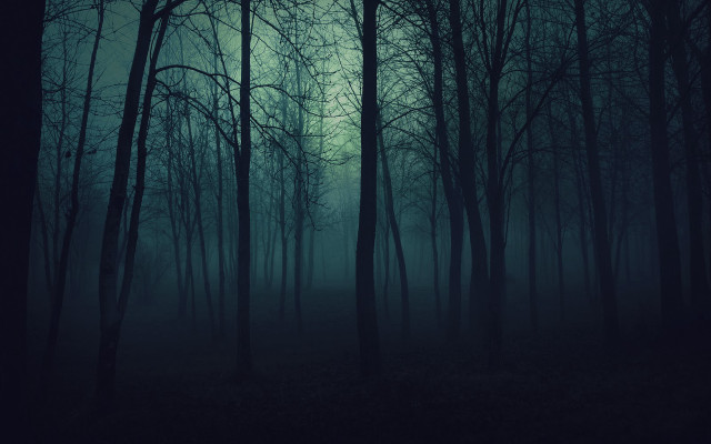 Dark forest trees fog night free wallpaper - medium preview image