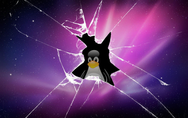Broken glass penguin purple background free wallpaper - medium preview image