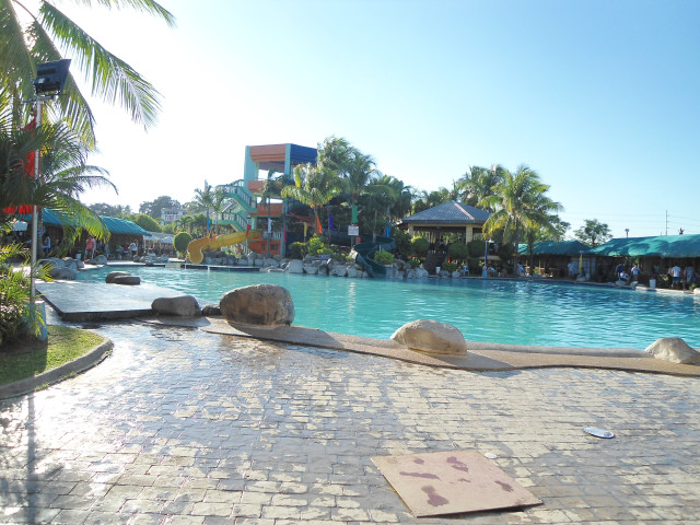 Large swimming pool crowded trees free wallpaper - medium preview image