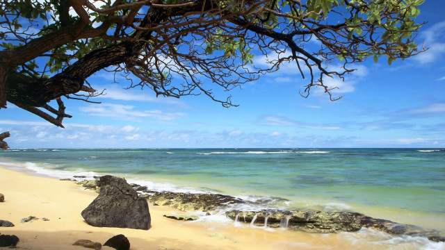 Beach tree rocks waves blue free wallpaper - medium preview image