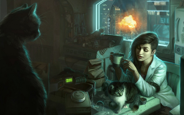 Man sitting table cat coffee free wallpaper - medium preview image