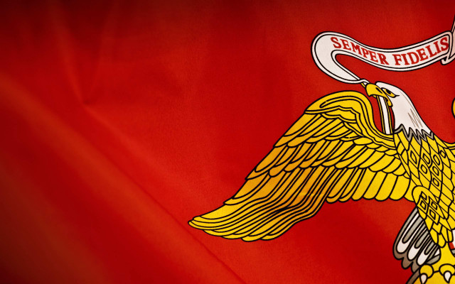 Flag bird banner back says free wallpaper - medium preview image