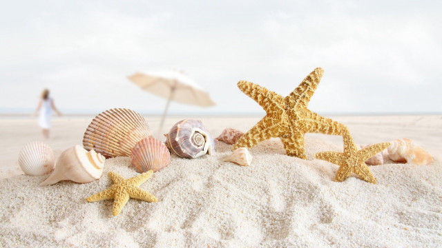 Starfish beach ocean sand sunset free wallpaper - medium preview image