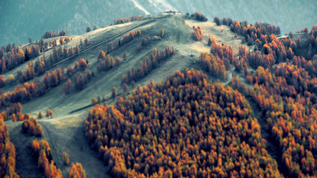 Mountain forest snowy background autumn free wallpaper - medium preview image