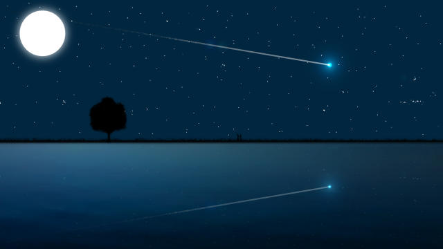 Tree night star moon bright free wallpaper - medium preview image