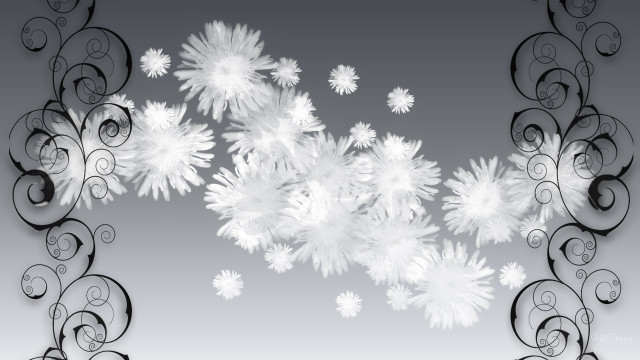 Snowflakes black white gray background free wallpaper - medium preview image