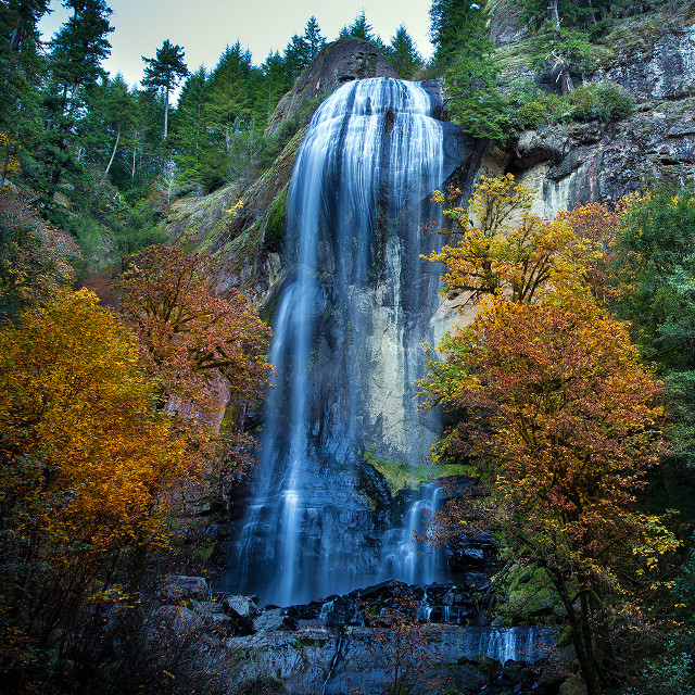 Waterfall bridge fall trees leaves free wallpaper - medium preview image