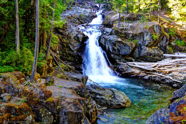 Waterfall forest rocks trees stream #9 free wallpaper - medium preview image