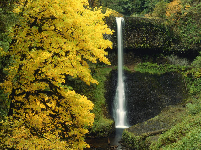 Waterfall forest yellow leaves stream free wallpaper - medium preview image