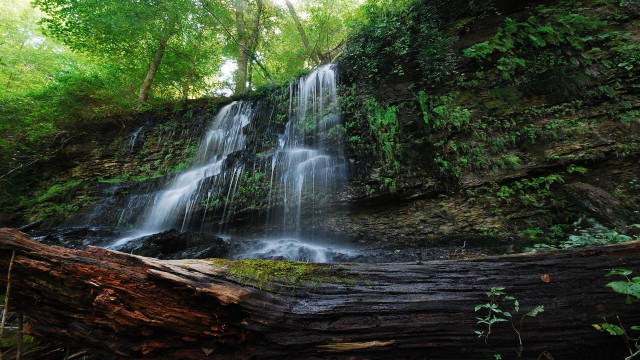 Waterfall forest fallen trunk nature free wallpaper - medium preview image