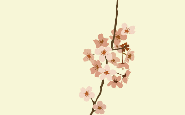 Branch pink flowers light background free wallpaper - medium preview image