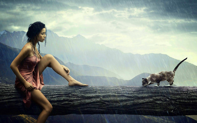 Woman tree branch cat walking free wallpaper - medium preview image