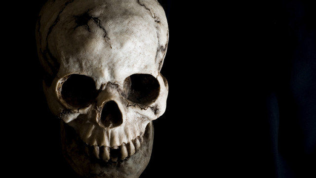 Skull black background white skull #3 free wallpaper - medium preview image