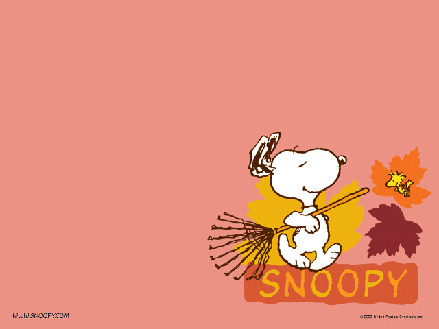 Snoopy cartoon character broom leaf free wallpaper - medium preview image