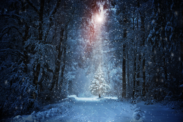 Snowy road magic night aurora free wallpaper - medium preview image