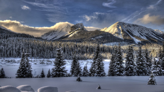Snowy mountain landscape pine trees free wallpaper - medium preview image