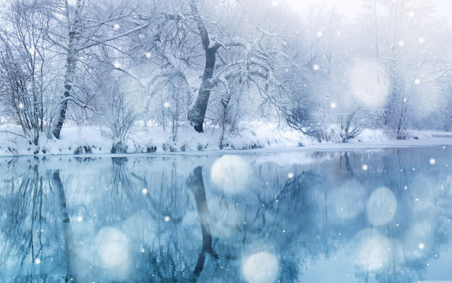 Snowy lake trees snow falling free wallpaper - medium preview image
