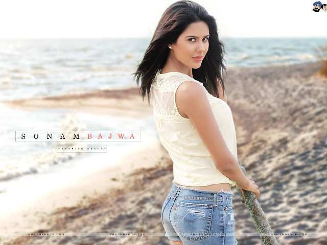 Woman beach surfboard smile camera free wallpaper - medium preview image