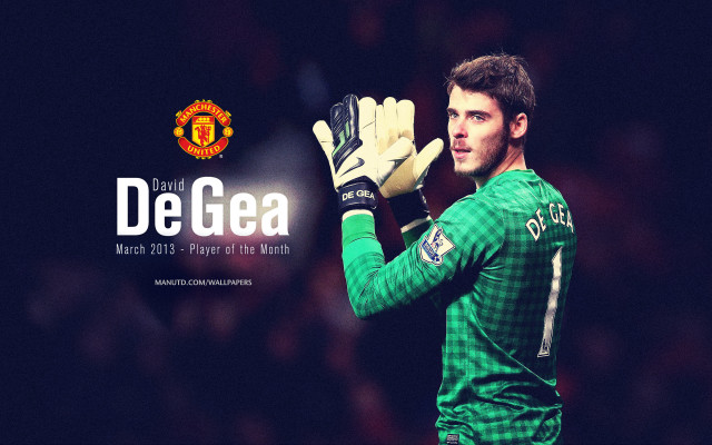 Man green shirt holding glove free wallpaper - medium preview image