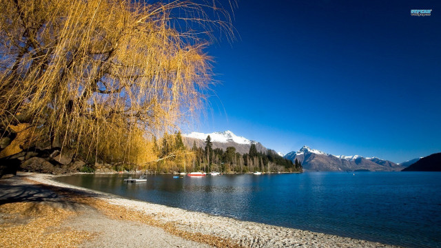 Lake tree mountains path boat free wallpaper - medium preview image