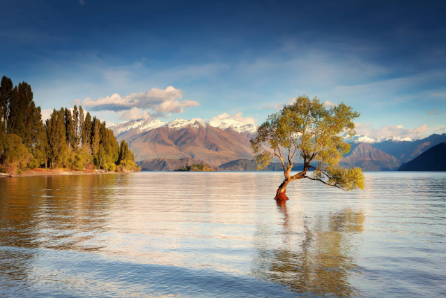 Tree lake mountains blue sky free wallpaper - medium preview image