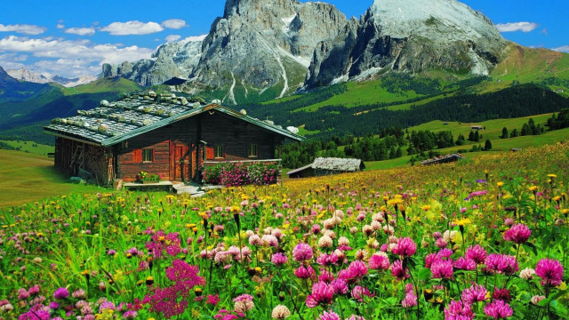 Field flowers house mountains snow free wallpaper - medium preview image
