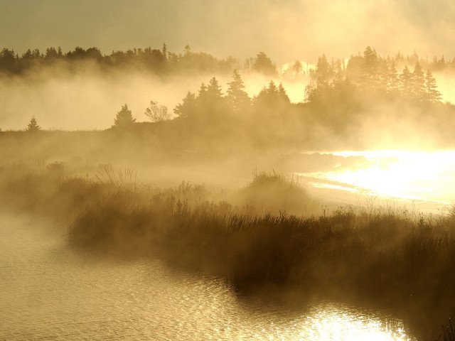 River fog trees sunset distant free wallpaper - medium preview image