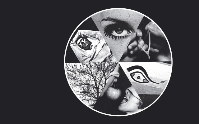 Eye tree bird black white free wallpaper - medium preview image
