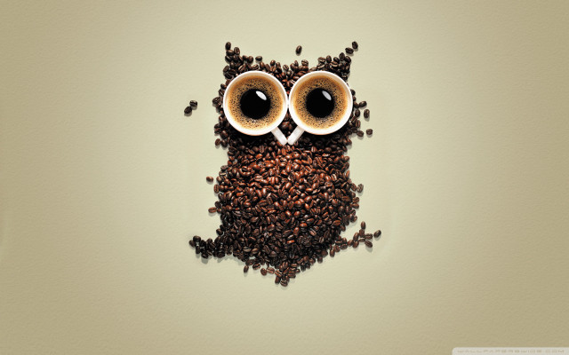 Coffee owl coffee beans eyes #2 free wallpaper - medium preview image