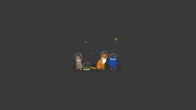 Cats group black background confetti free wallpaper - medium preview image