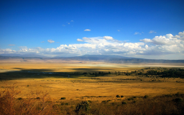 Vast open plain trees mountains free wallpaper - medium preview image