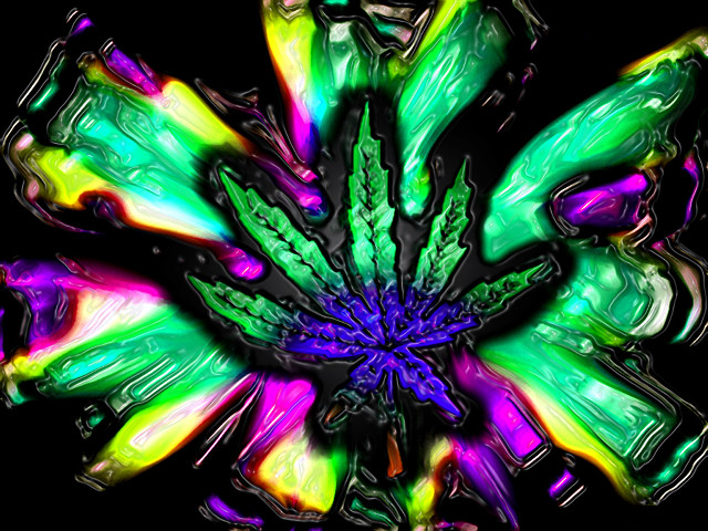 Colorful flower black background green #2 free wallpaper - medium preview image