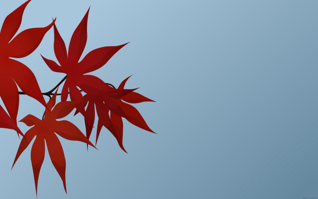 Red tree branch leaves blue free wallpaper - medium preview image