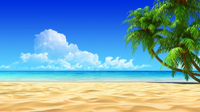 Palm tree beach sky clouds free wallpaper - medium preview image