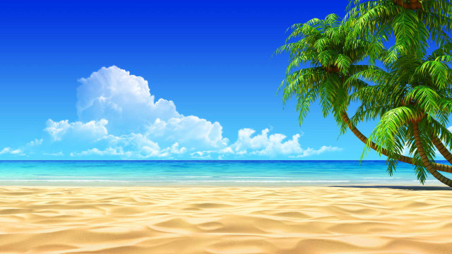 Palm tree sandy beach blue #3 free wallpaper - medium preview image