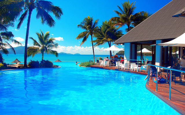 Ocean pool palm trees art free wallpaper - medium preview image