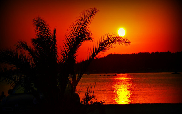 Sunset red sky water boat free wallpaper - medium preview image