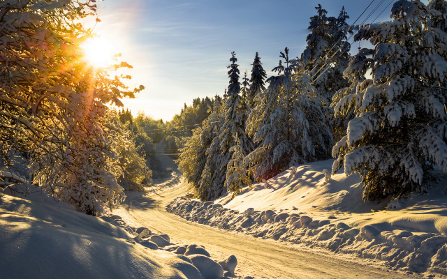 Skiing snow trees power lines free wallpaper - medium preview image
