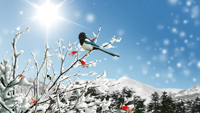 Bird tree snow mountain background free wallpaper - medium preview image